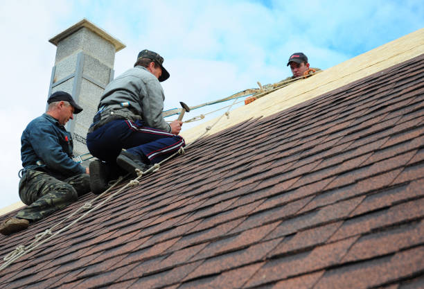 Best Flat Roof Repair Services  in Woodstock, VA
