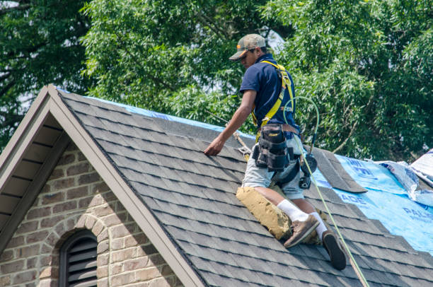 Best Gutter Installation and Roofing  in Woodstock, VA